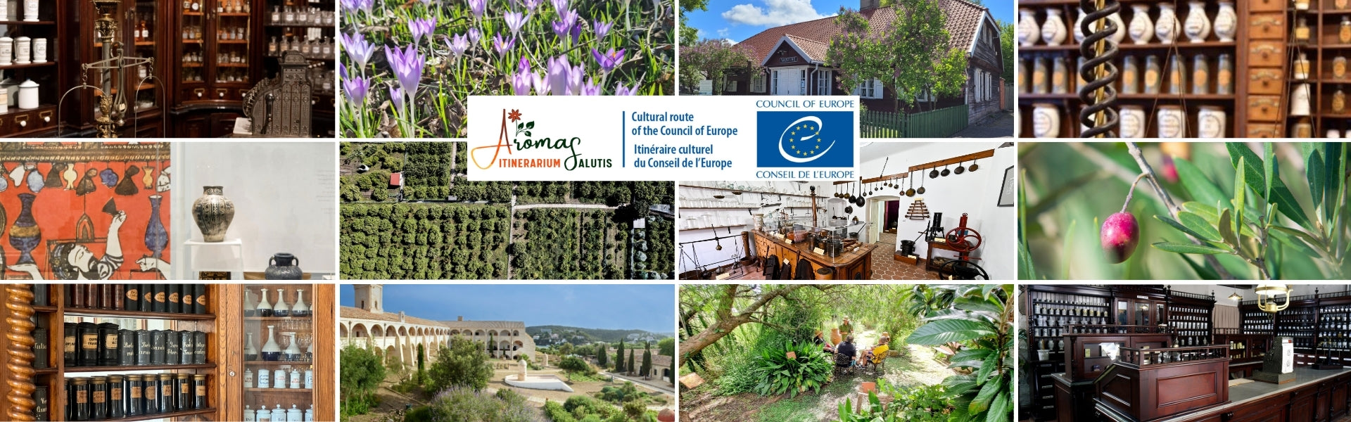 <a href="https://aromassalutis.eu/it/historic-pharmacy-of-ss-sacramento-roccavaldina-italy-4/" target="_blank" title="https://aromassalutis.eu/it/historic-pharmacy-of-ss-sacramento-roccavaldina-italy-4/">Aromas Itinerarium Salutis</a>
